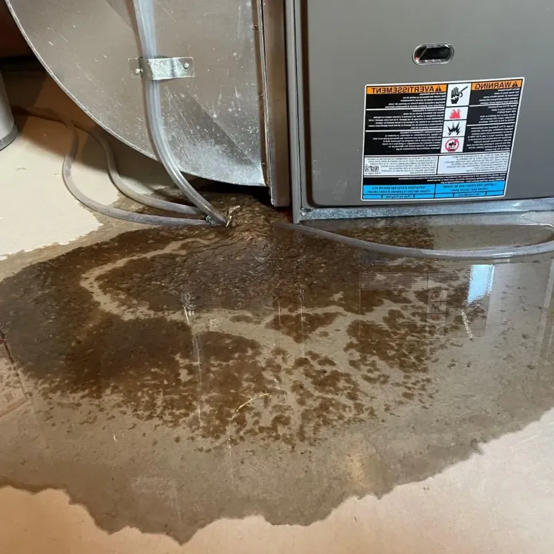 Pipe Burst and Leak Restoration in Hasson Heights, PA